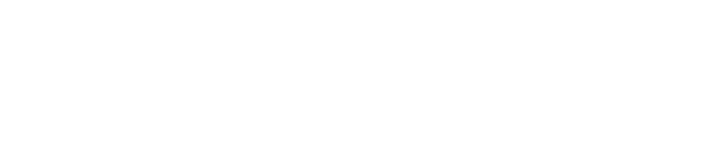 Duolingo logo